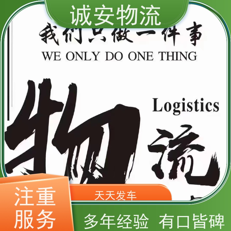 诚安物流 40尺自备柜 深圳到澳门 出口报关 一天到