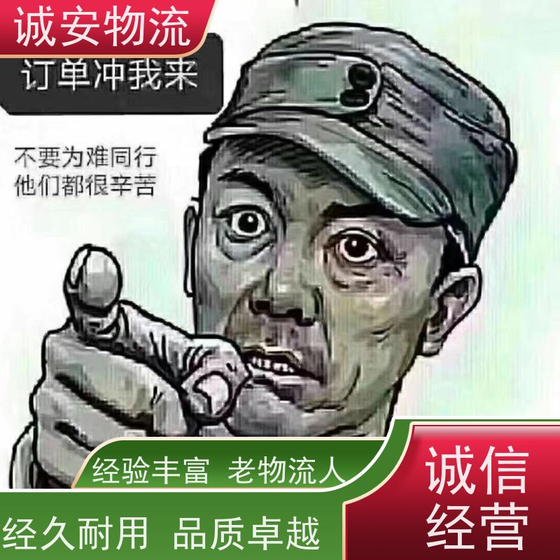 诚安物流 40尺自备柜 惠州到香港 一般贸易买单报关 一天到