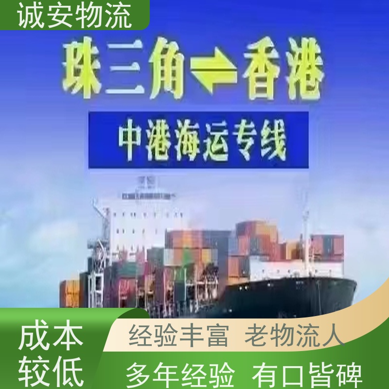 诚安物流 45尺自备柜 广州到澳门 进口报关 一天到