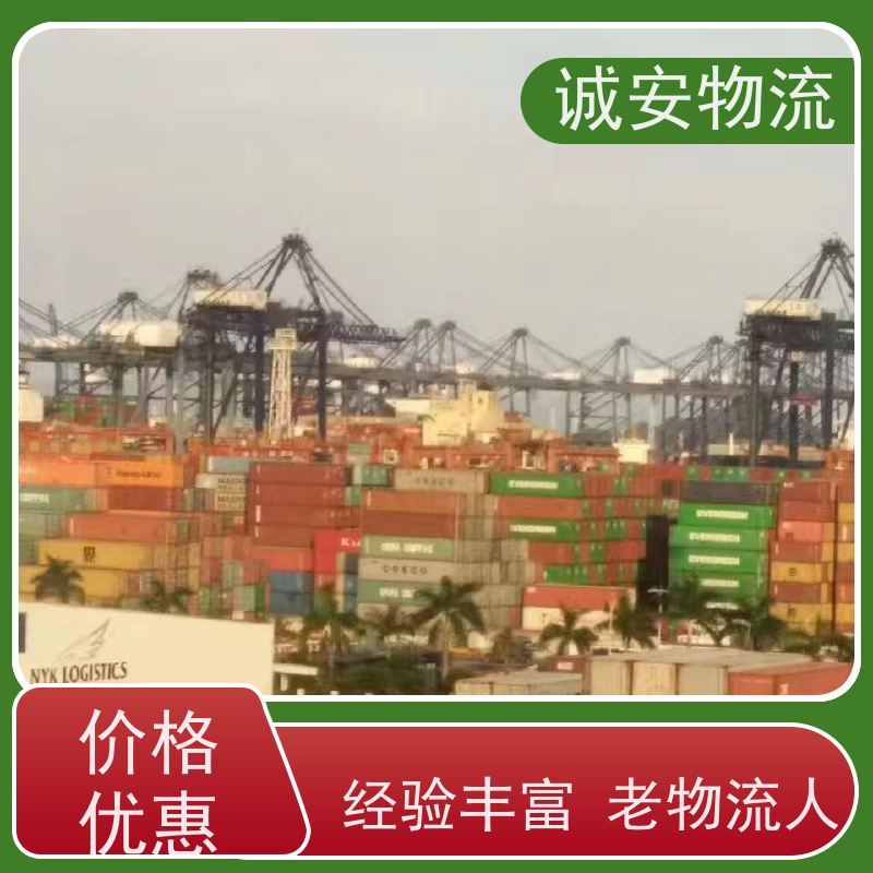 诚安物流 45尺自备柜 河源到深圳 一般贸易买单报关 随时发车