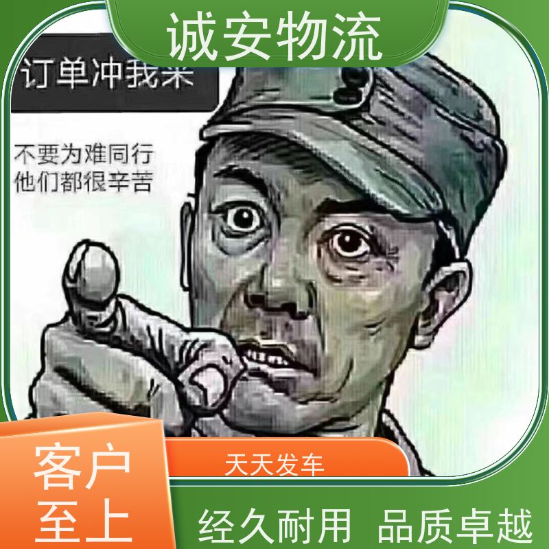 诚安物流 3吨车 香港拖柜 一般贸易买单报关 半天到