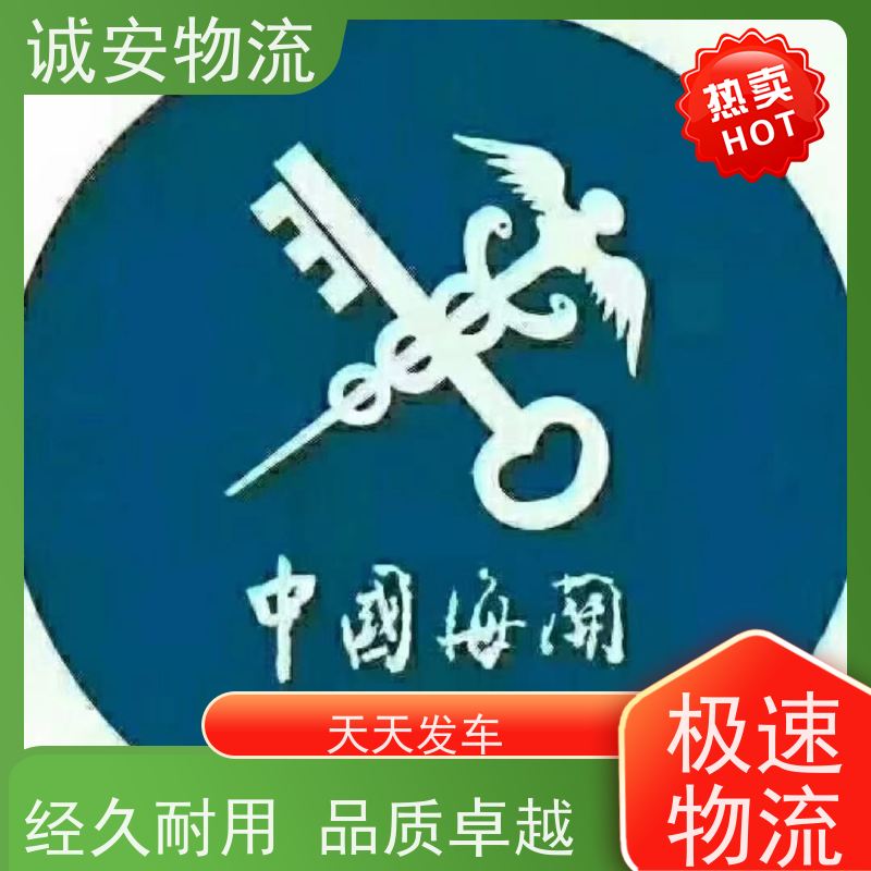 诚安物流 40尺自备柜 河源到东莞 进口报关 半天到