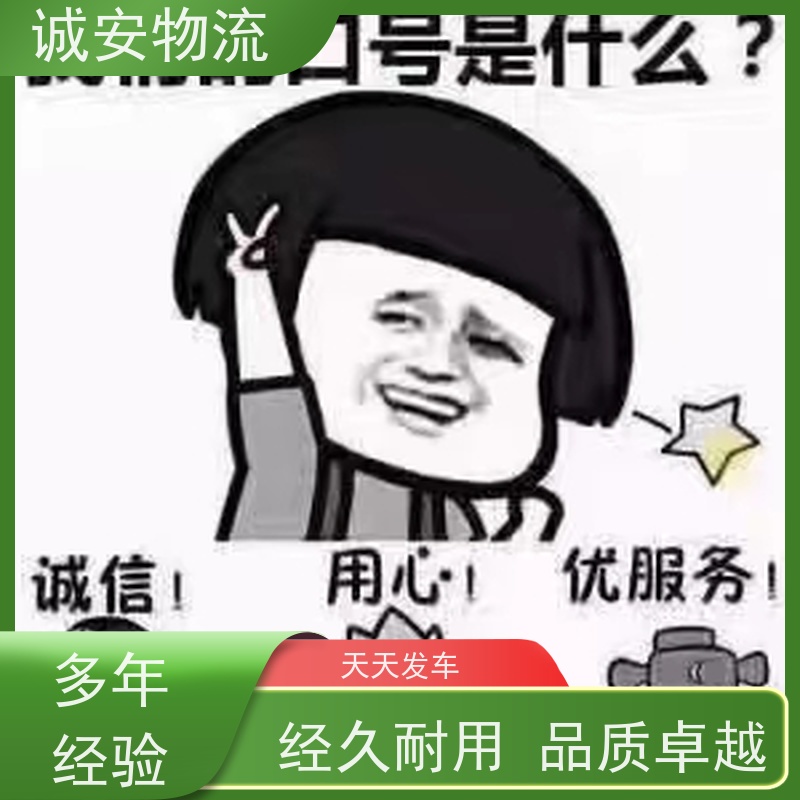 诚安物流 10吨车 深圳到义乌 进口报关 随时发车