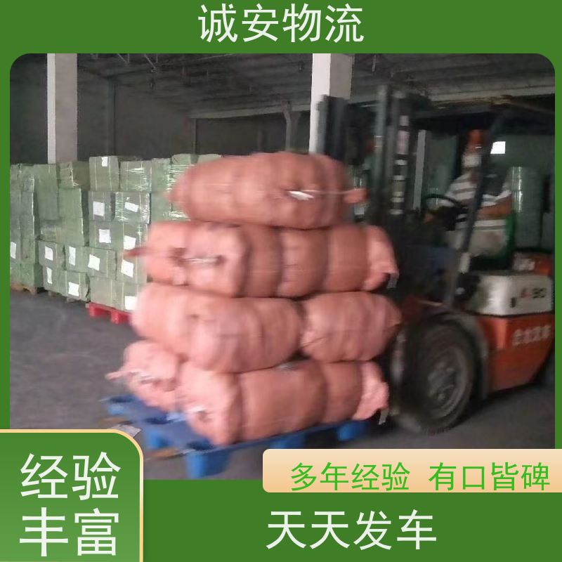 诚安物流 3吨车 盐田拖柜 一般贸易买单报关 半天到