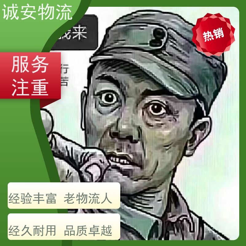 诚安物流 40尺自备柜 东莞到南宁 专人跟单 半天到