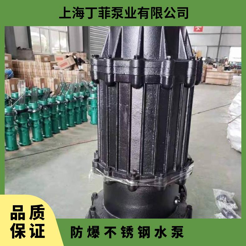 150WQ240-20-30 防爆不锈钢水泵 150QW150-12-11 不阻塞 排污泵