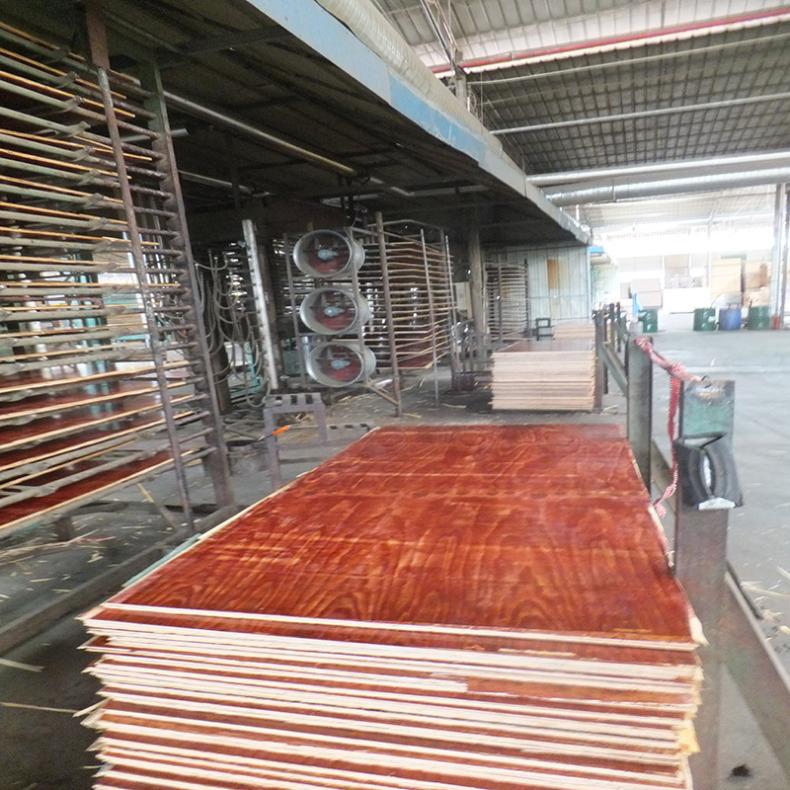 桉树松树 松木面皮桉木芯板 厚度10-18mm 脱模效果好建筑模板