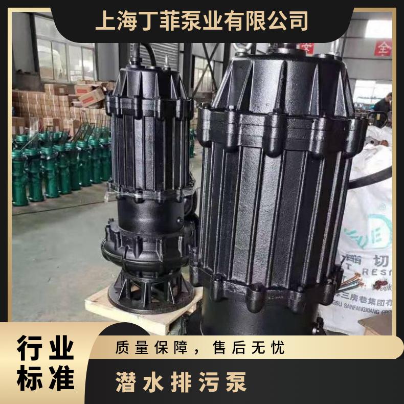 200WQP400-10-22 潜水排污泵 65QW25-10-1.5 不阻塞 电动 10m~60m