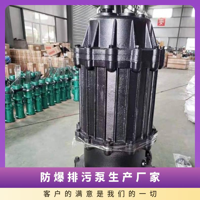 40QWP10-10-0.75 防爆排污泵生产厂家 潜水排污泵 不阻塞 10m~60m