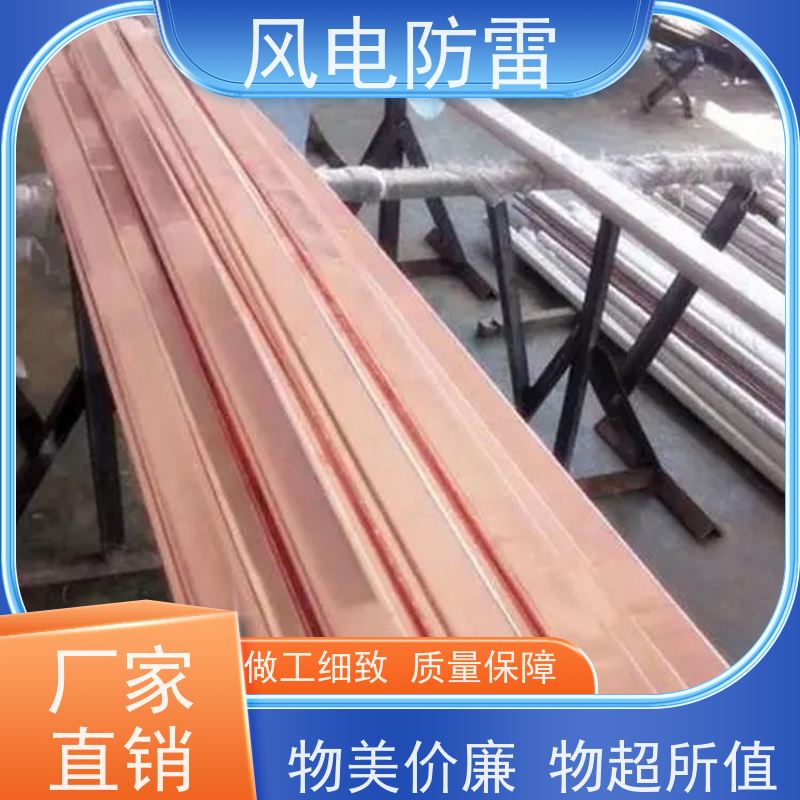 风电防雷 石 墨材料阻值低 减少地网占用土地面积 铜包钢扁钢40*4mm