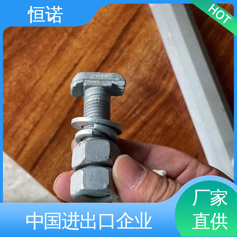 坚固耐用 实体厂家 管廊支架配件T型螺栓 可寄样品 恒诺