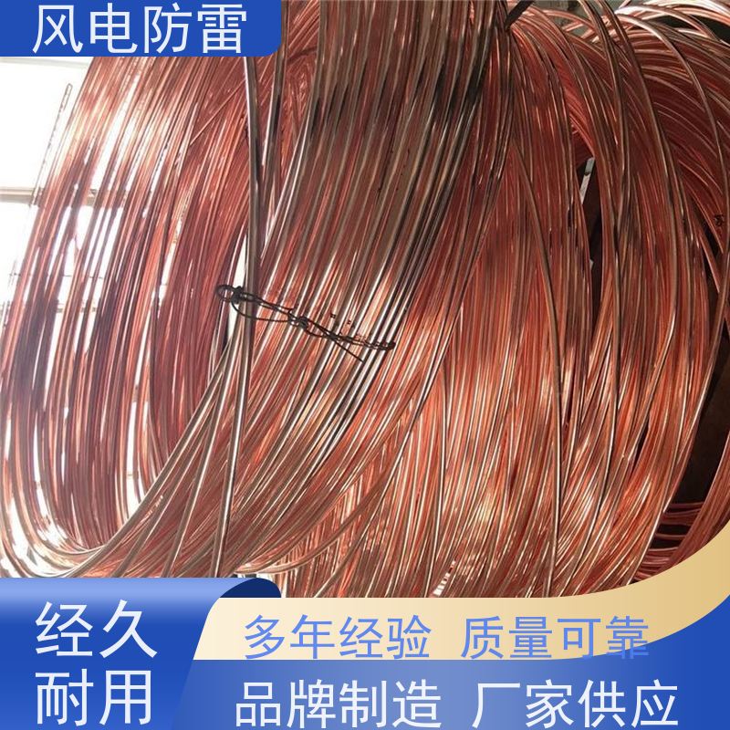 风电防雷 质量保障 可按需定做 非 金 属石 墨选材 50*5mm镀铜扁钢