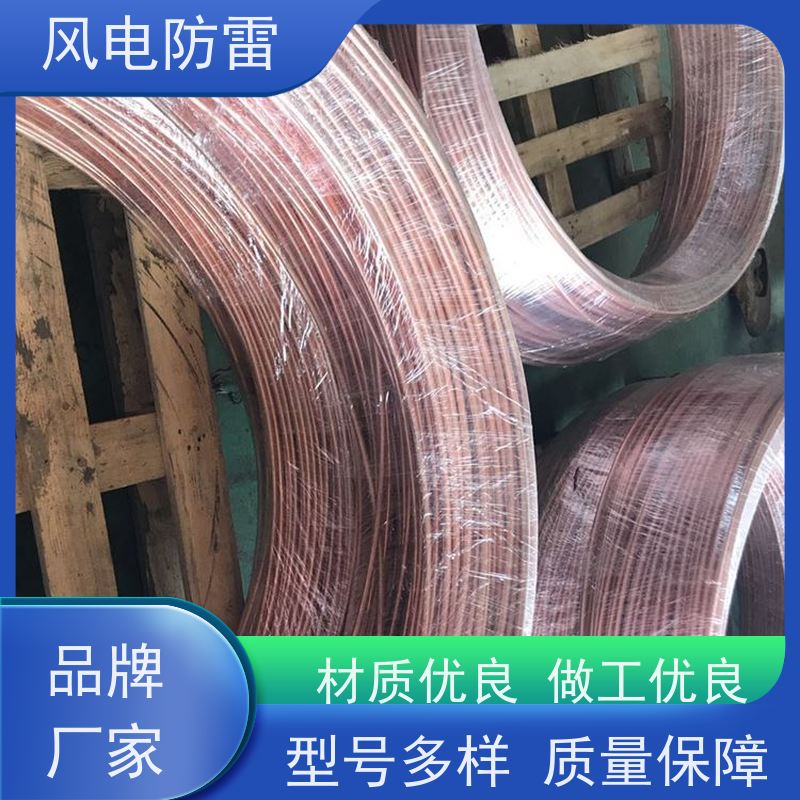 风电防雷 质量保障 可按需定做 非 金 属石 墨选材 40*4mm镀铜扁钢