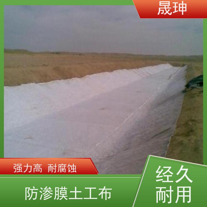 晟珅 针刺无纺土工布 耐腐蚀性高 施工方便 货源充足
