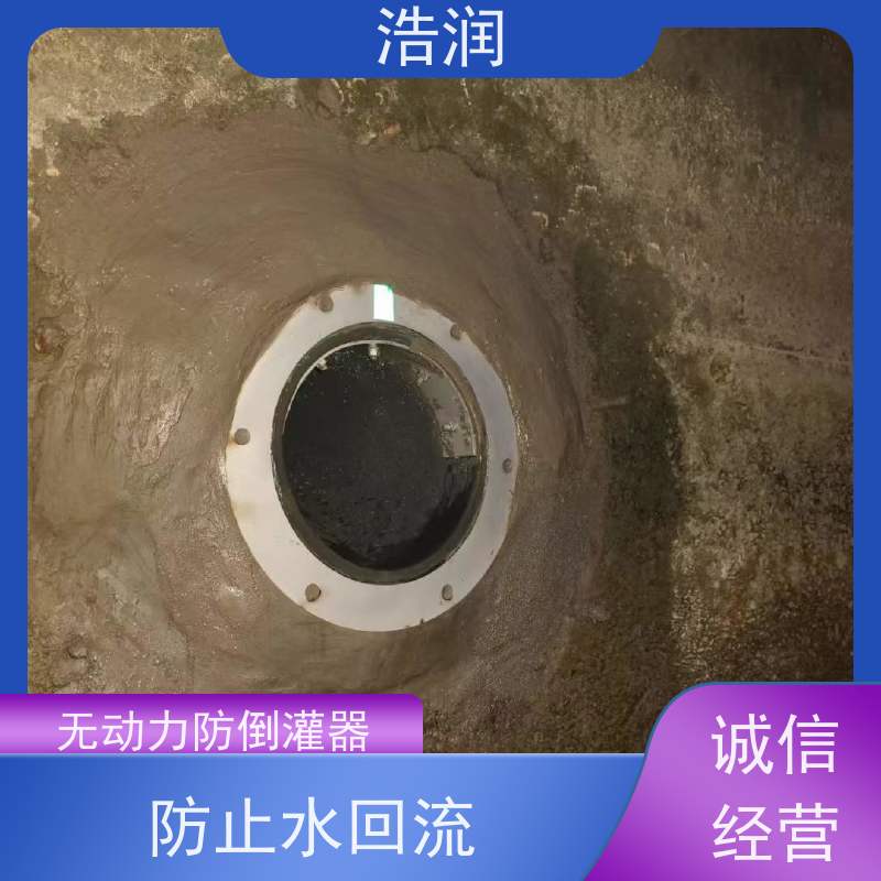 浩润 长期供应 不锈钢防倒灌器 无动力运行 货源充足