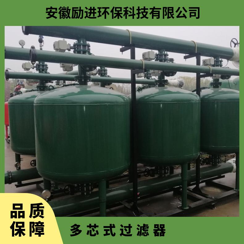 多芯式过滤器 农业灌溉反冲洗种类 励进 碳钢、不锈钢 LJAGF48-1