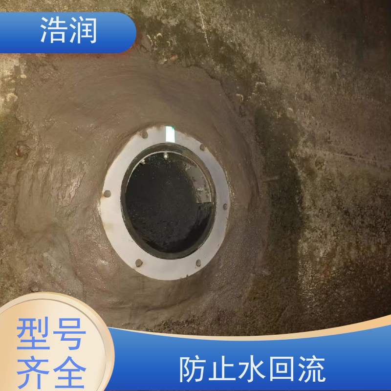 浩润 长期供应 管中型防倒灌器 防止水回流 品质可信