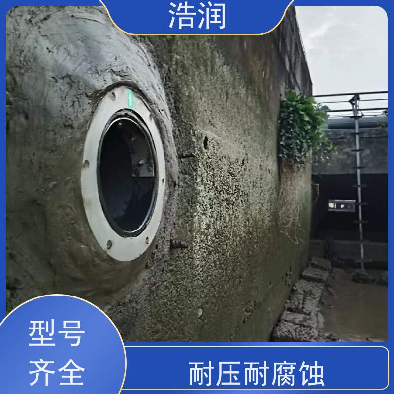 浩润 全国供应 不锈钢防倒灌器 HRFDG型 货源充足