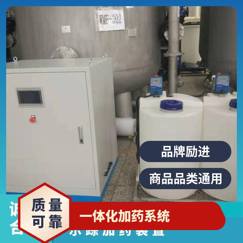 示踪加药装置 工业循环水系统样本 机械计量泵 LJJY-1000 励进