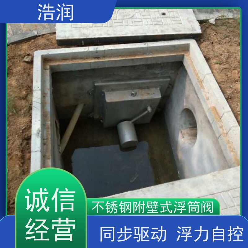 浩润 长期供应 雨污分流浮筒限流阀 DN150-DN1000 性能稳定