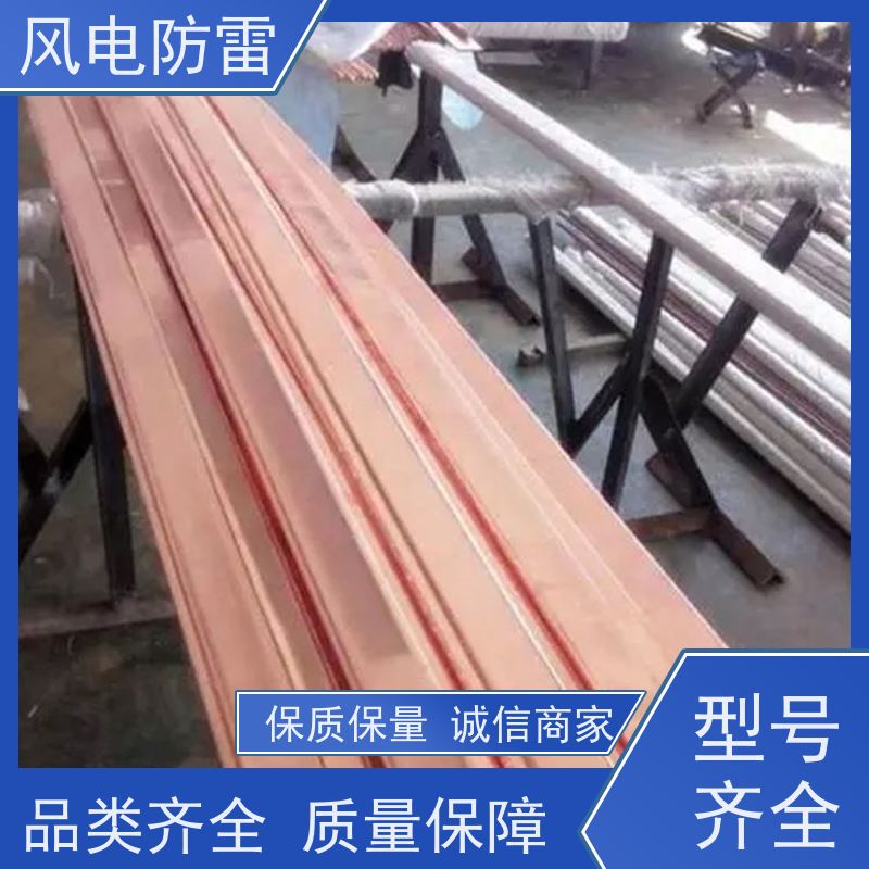 风电防雷 支持定做 延长使用寿命 特殊非 金 属材料 铜覆钢接地装置