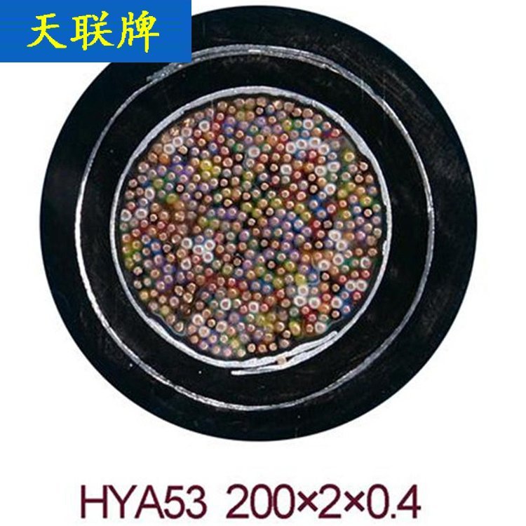 HYAT大对数通信电缆 天联牌 HYAT23-200*2*0.5铠装通讯电缆