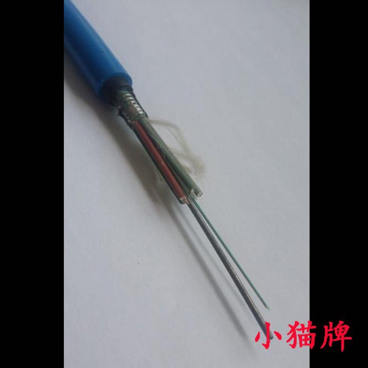 12芯GYTS阻燃架空单模光缆 小猫牌 GYXTW中心束管光纤