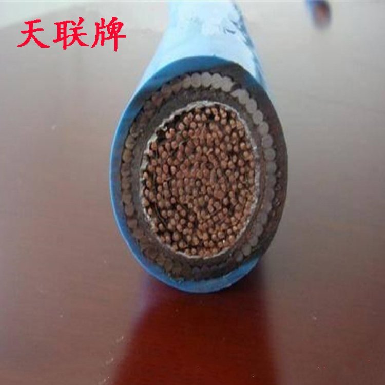 MHYA32煤矿用信号电缆 100X2X0.8 100对矿用通信电缆 天联牌