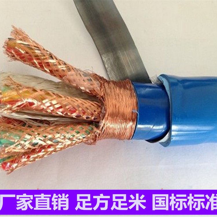 ZR-DJYPVP22阻燃计算机电缆 铠装双绞屏蔽电缆
