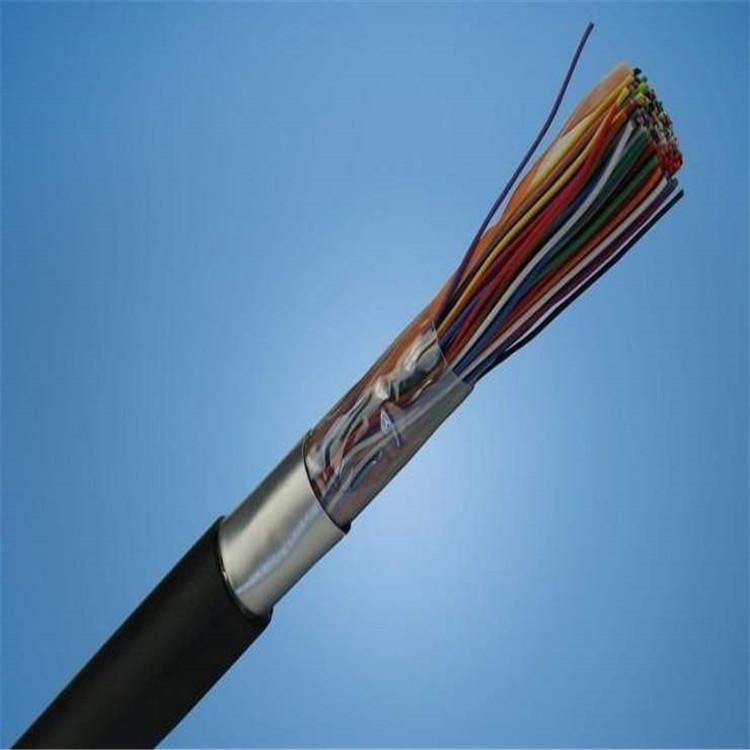 HYAC索道专用通信电缆20X2X0.5 天联牌 自称式索道带钢丝电缆