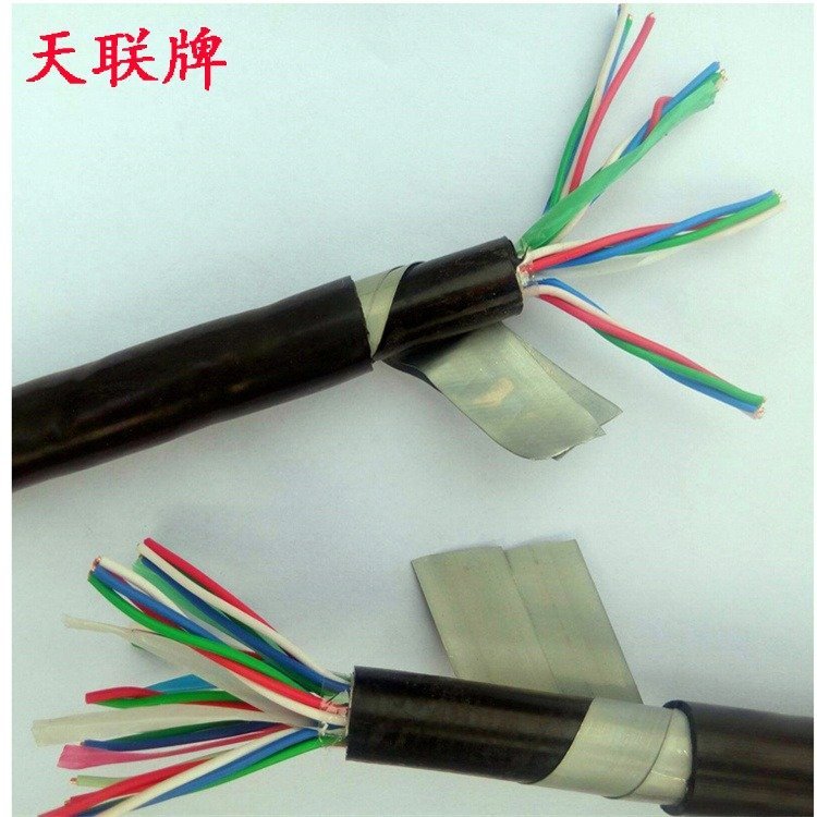天联PZYAPTYA23多芯圆线信号电缆黑色国标绝缘2mm
