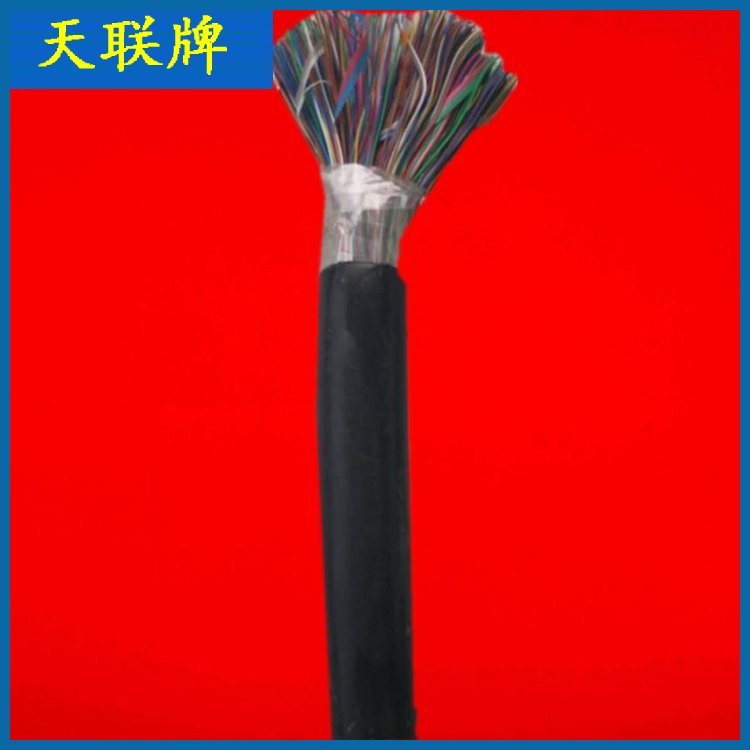 HYAC自称式索道带钢丝电缆 HYA23地埋铠装通信电缆 天联牌