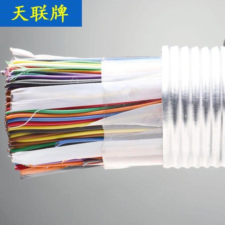 HYV电话电缆10X2X0.5 天联牌 WDZ-HYAT23铠装通信电缆