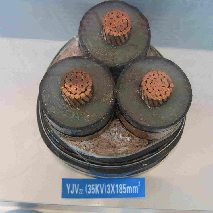 BPYJVP1P2变频电缆 BPYJVP屏蔽电缆 银顺 BPYJVP2电缆
