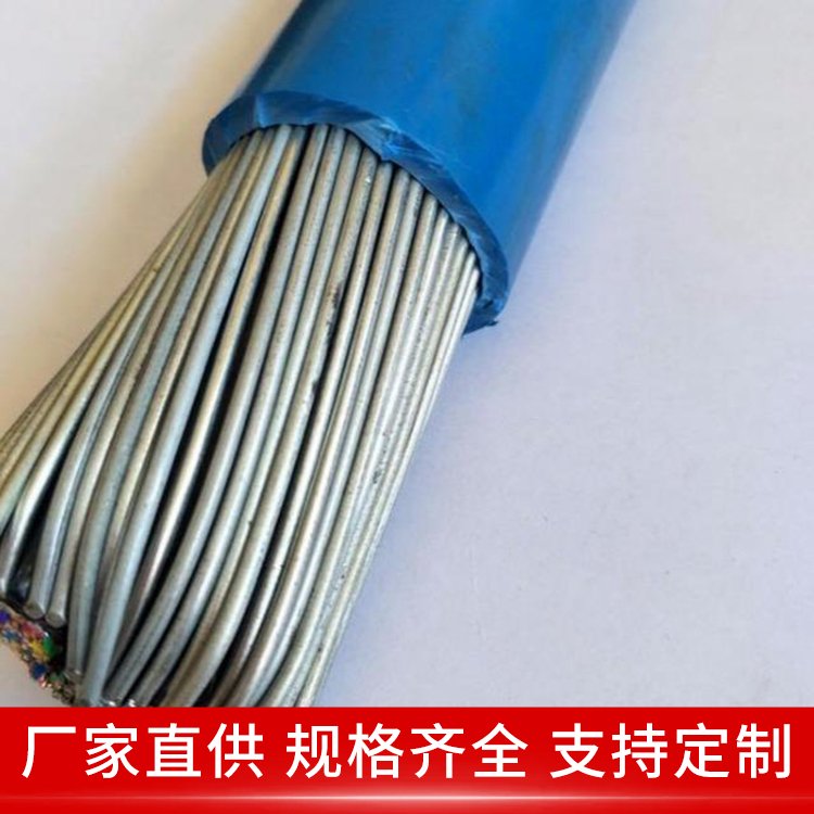 MHYAV矿用阻燃防爆通信电缆 30*2*1/0.8 用于通讯工程 不易断裂 天联