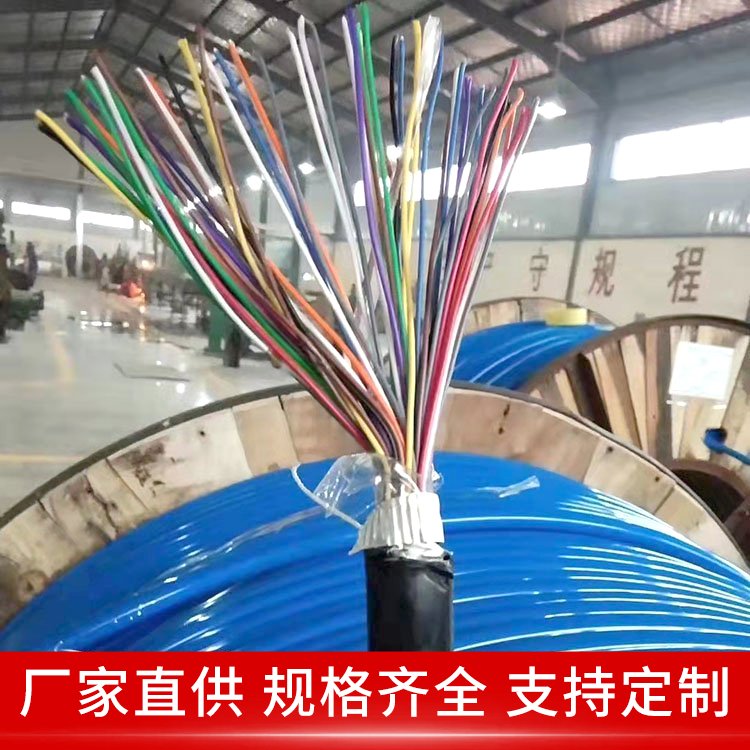 MHYA32矿用通讯电缆 100*2*1/0.8 矿井用传感器线缆 发热少 天联