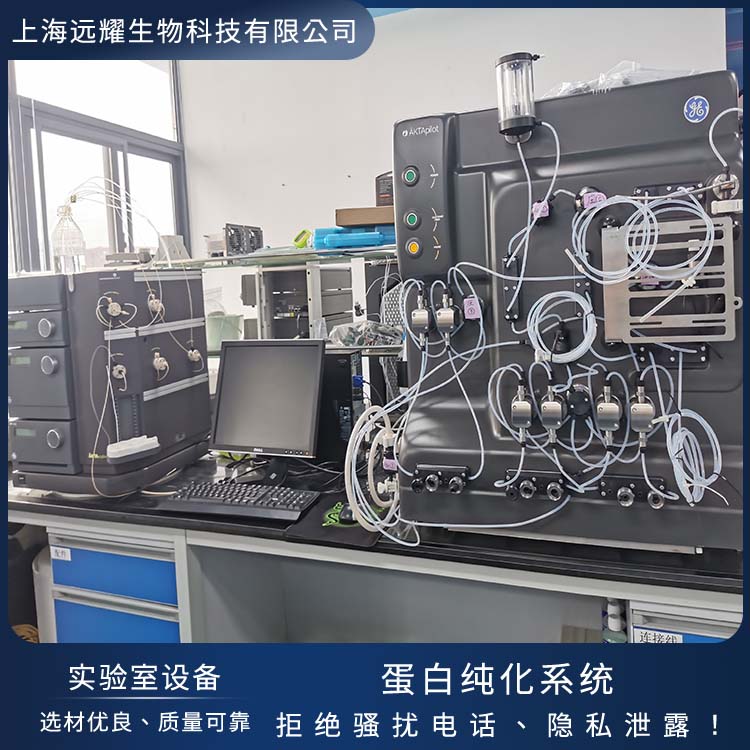 GE 蛋白纯化系统AKTA pilot 运行稳定 界面直观 高精度 脉动小