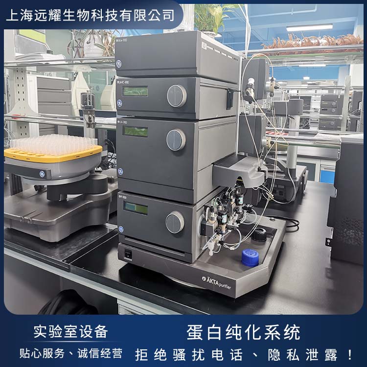 GE 蛋白纯化系统AKTA purifier 进样准确 基线稳定 高效率 大量程