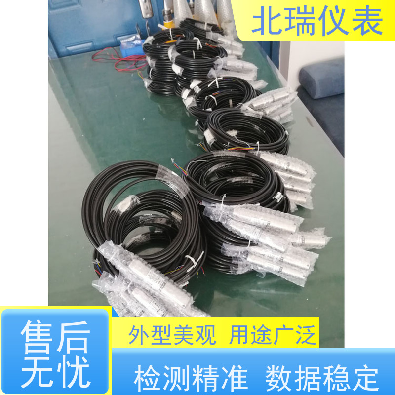 北瑞仪表 安装维护方便 厂家供应 售后无忧 水位水温计