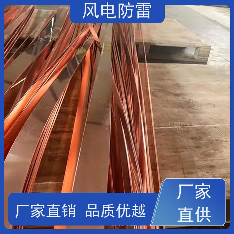 风电防雷 厂 家出售 价美物优 特殊非 金 属材料 铜包钢接地圆线10mm
