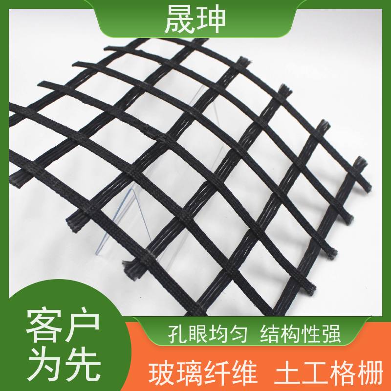 晟珅 实力厂家 塑料玻纤土工格栅 不易变形 诚信经营