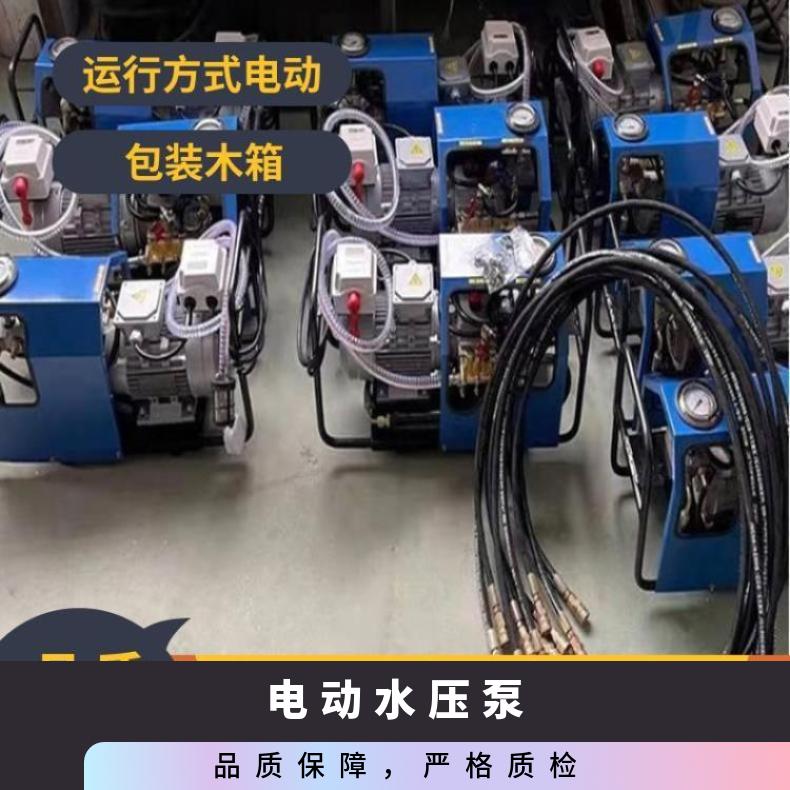 硫化机电动泵LB-7X10型一个人可操作的机水压泵