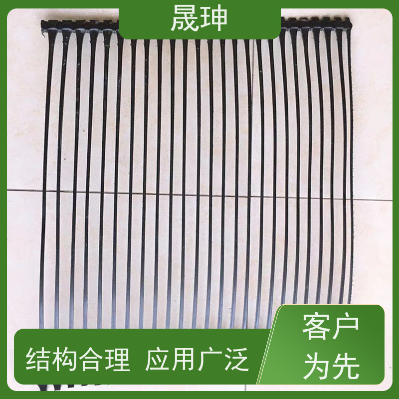 晟珅 长期供应 抗拉力强单向塑料格栅 结构合理 库存充足