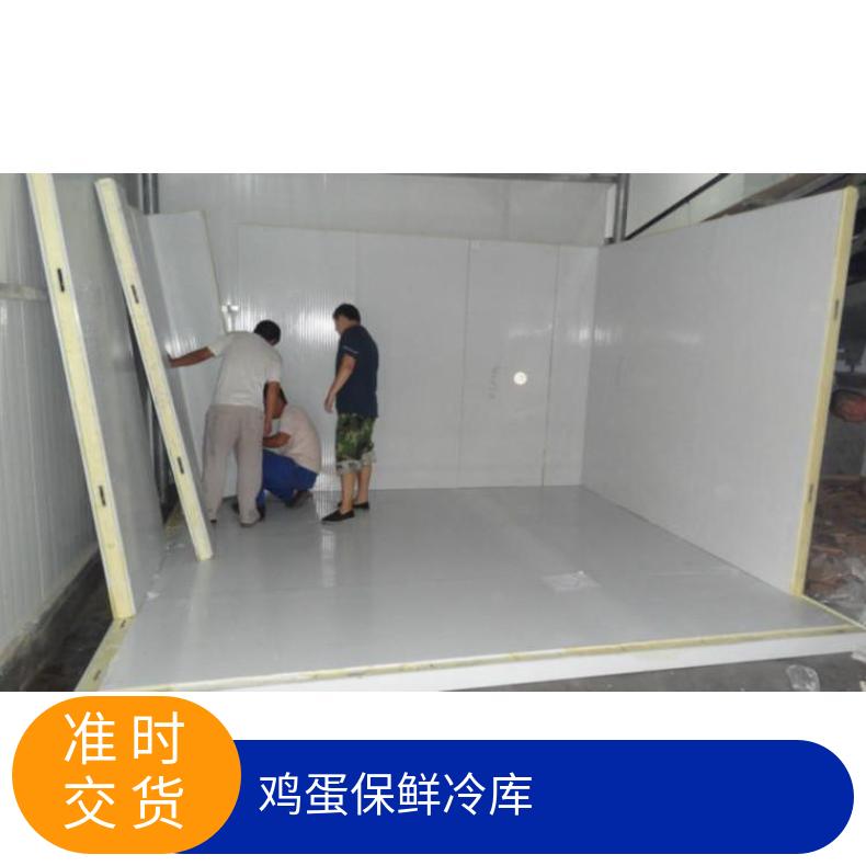 区保鲜冷库 小型安装 服务周到 加工 比泽尔15p 风冷/铝排 有 巧
