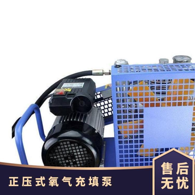 正压式空气呼吸器用充气泵 AE102A/100L氧气充填泵