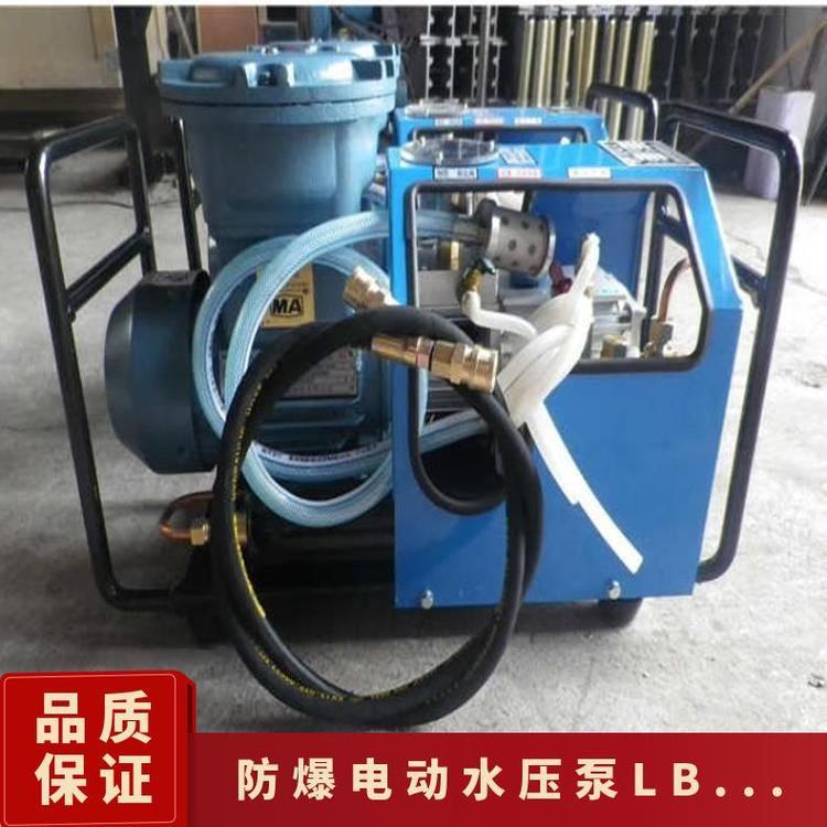 铠亿 防爆电动水压泵LB-7X10 微型柱塞式结构 不锈钢泵体