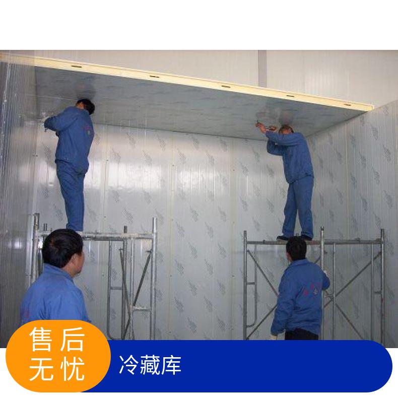 保养冷藏库 修冷冻库- 冷库厂家 380V 定制 5p 现场拼装 是 分体
