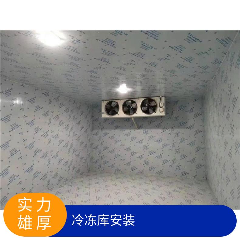 冷冻库安装 建造方案C/1级gspgmp 380V 现场拼装 定制 5p 分体式