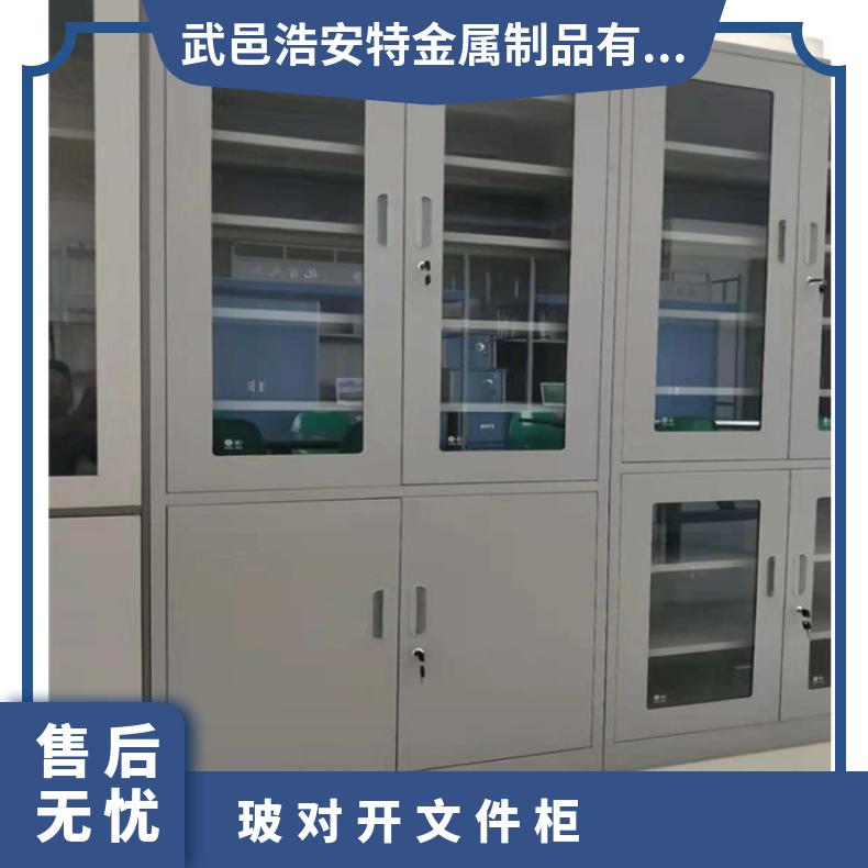 浩安特定制厂家 玻璃对开文件柜 办公室资料柜 铁皮 款式多样