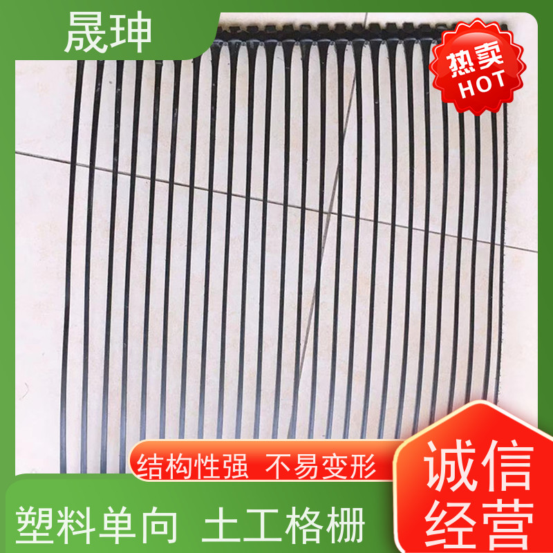 晟珅 长期供应 PE单向拉伸土工格栅 不易变形 品质可信